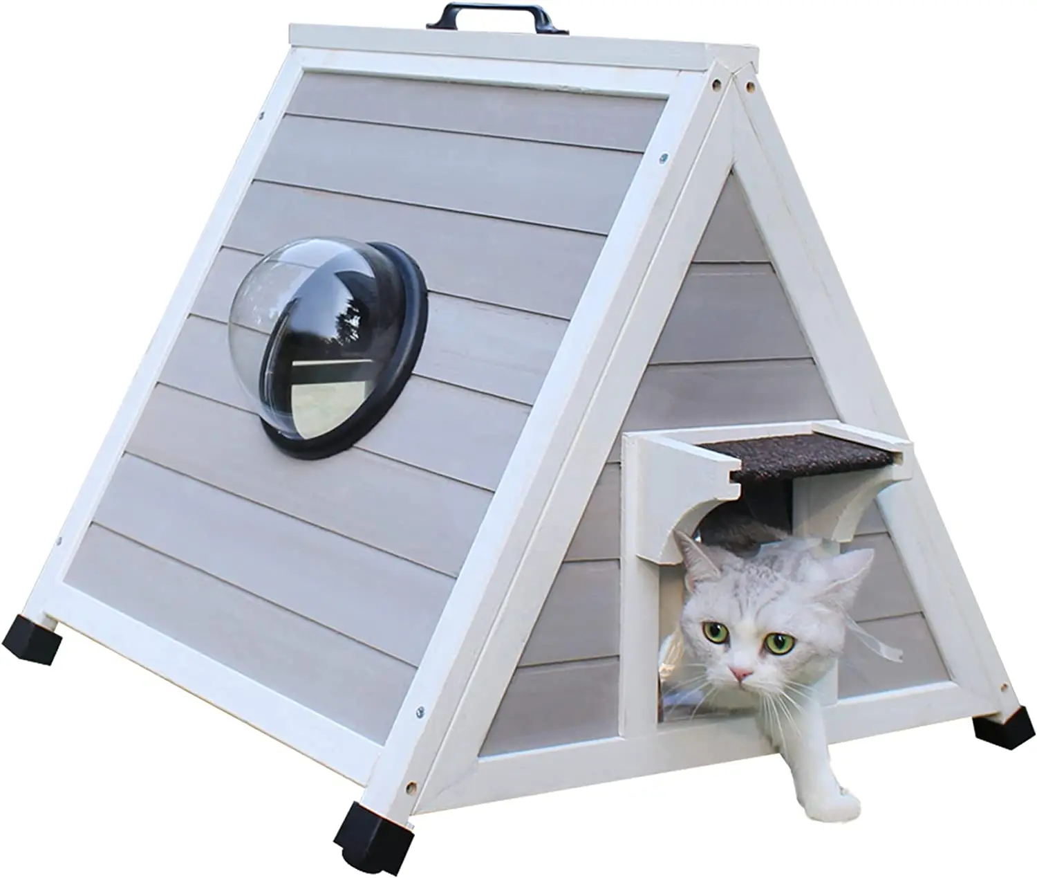 Outdoor Feral Cat Shelter With Escape Door Raised Floor Clear Windows Weatherproof Wooden Triangular Cat House