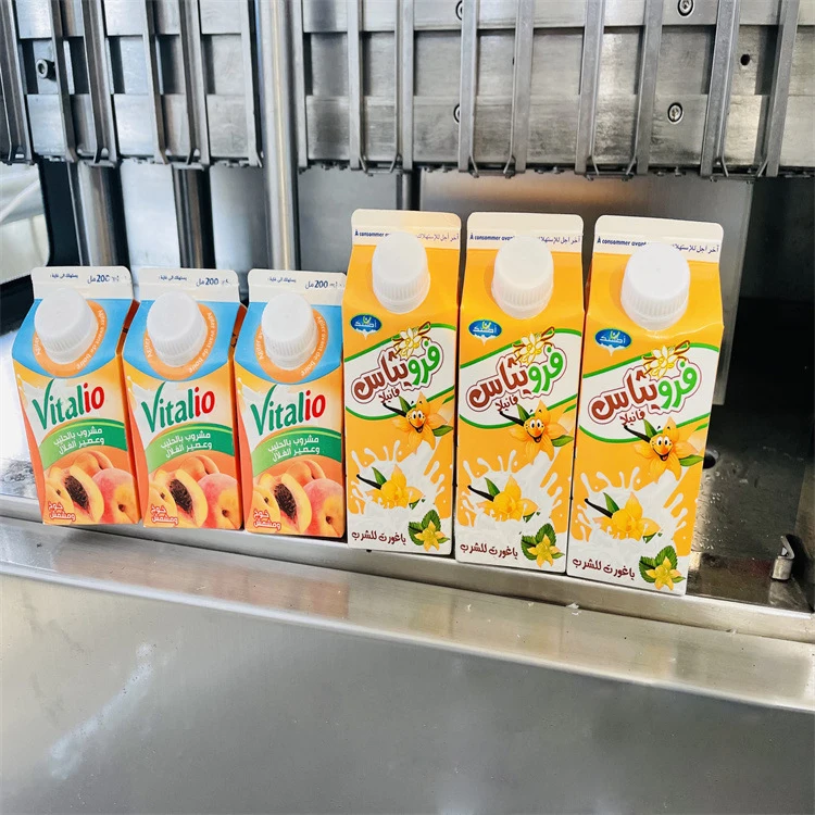 Custom Logo Desgin 330ml 500ml Aseptic liquid Juice Gable Top Carton Milk Pack Paper Box Packaging