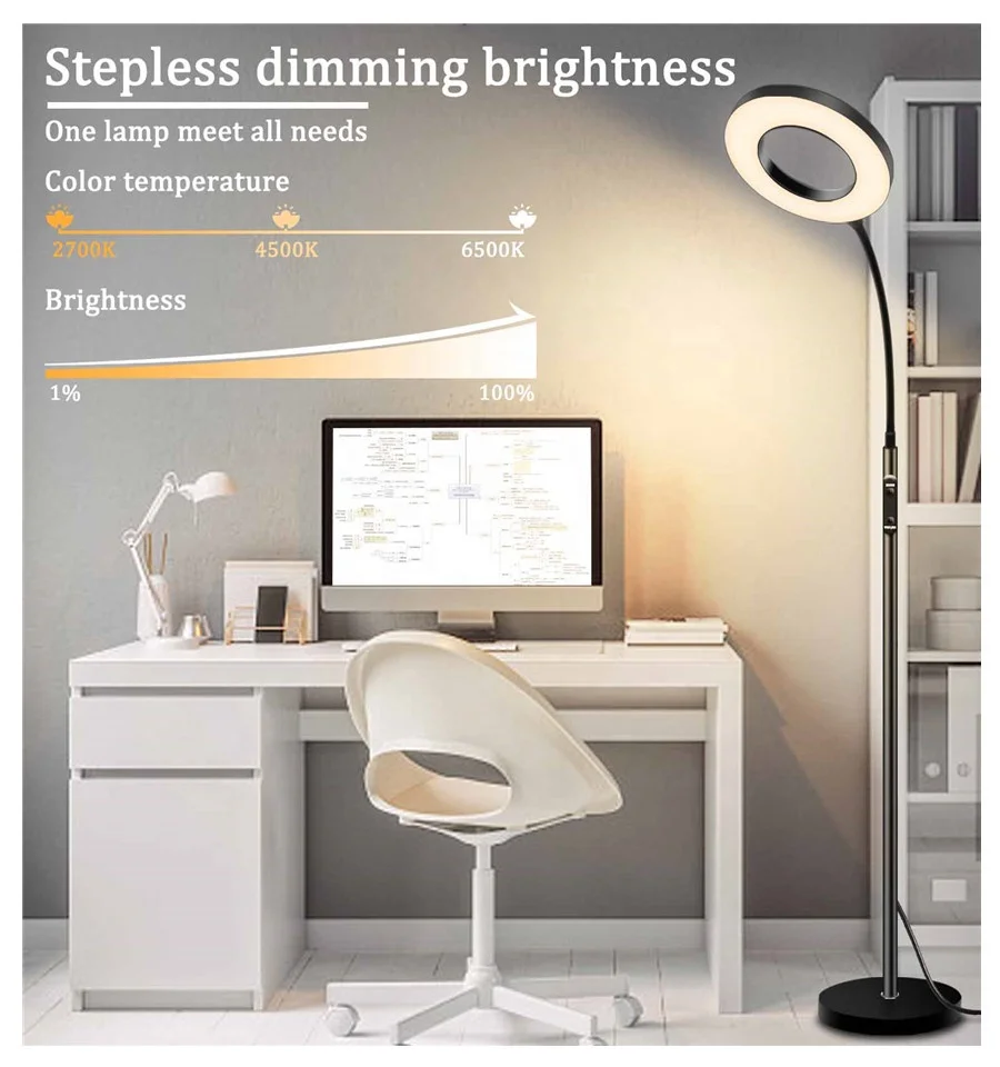 Modern Long Lifespan and Energy Saving Timer Setting Ring Sofa Standing lamp Floor lamp with Smart Remote and Touch Control