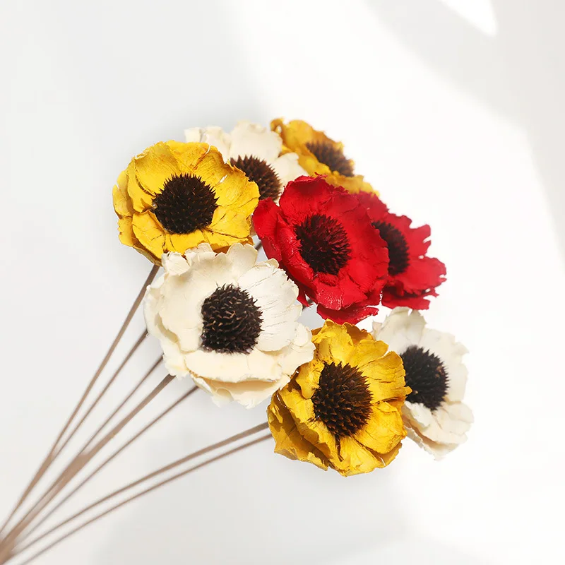 2022 Yunnan Wholesale The Most Popular Dried poppy flower Dried Fruit Dipsacus Sativus for Christmas