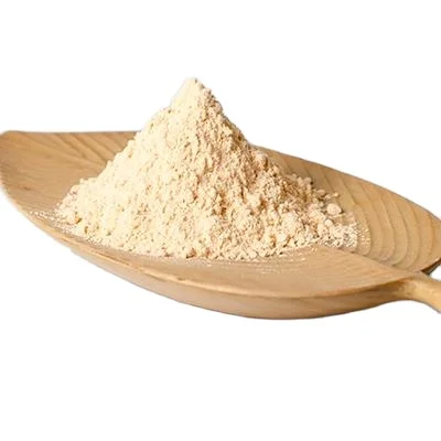 Factory supply Onion Extract 99% Quercetin with top quality