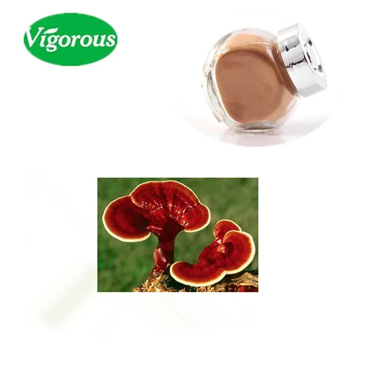 Reishi Mushroom Extract Reishi Extract 30% Polysaccharides For Healthcare Supplement