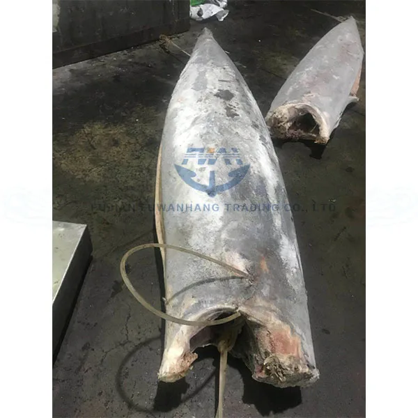 Seafrozen  Wahoo Fish Wholesale Price  factory direct sale