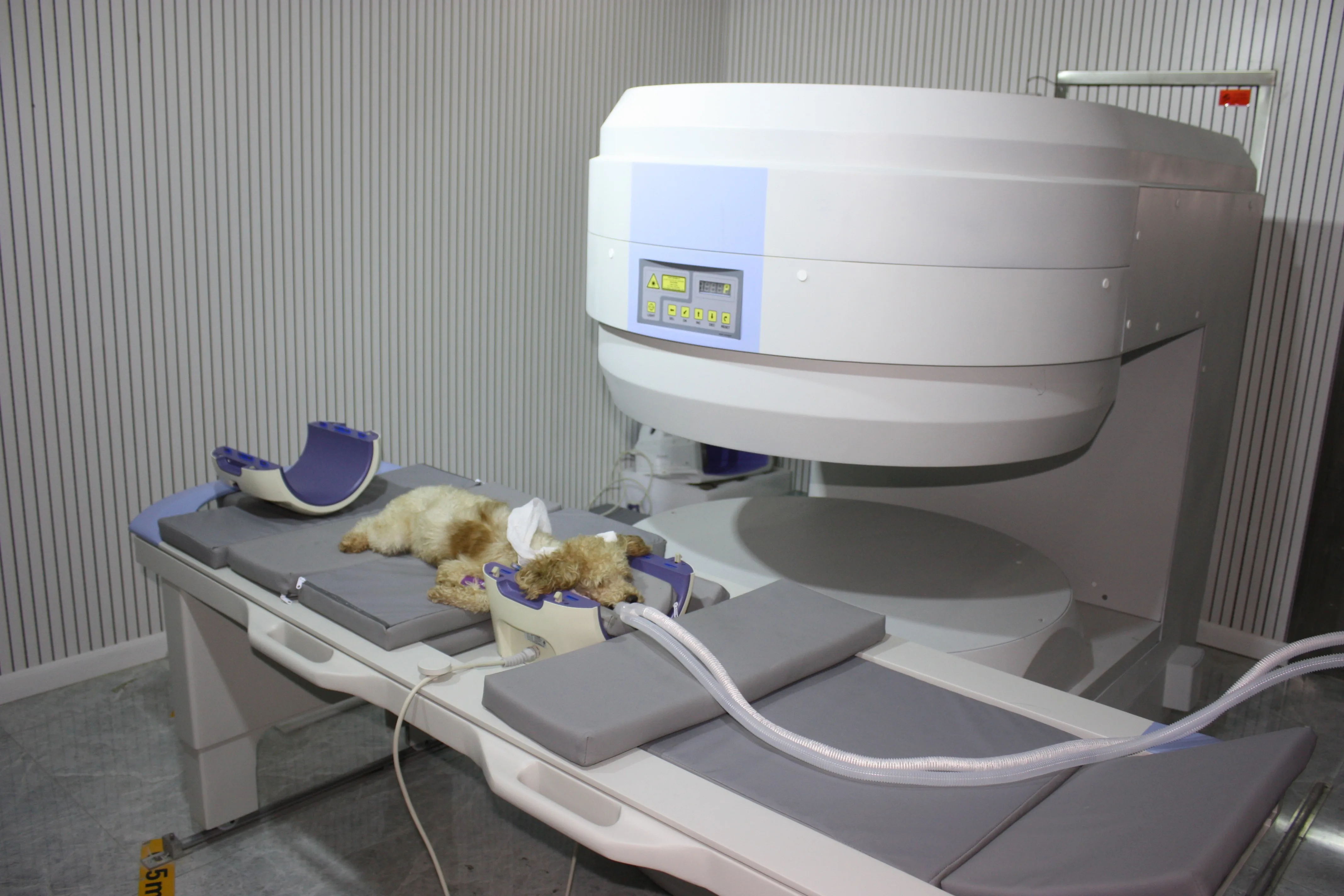 EUR VET High Quality Veterinary Equipment CT Scan Machine and MRI Scanner Machine Permanent Magnet MRI System