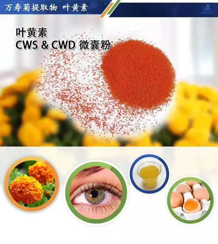 
Herbal extract type corn silk extract/marigold extract lutein zeaxanthin from marigold 