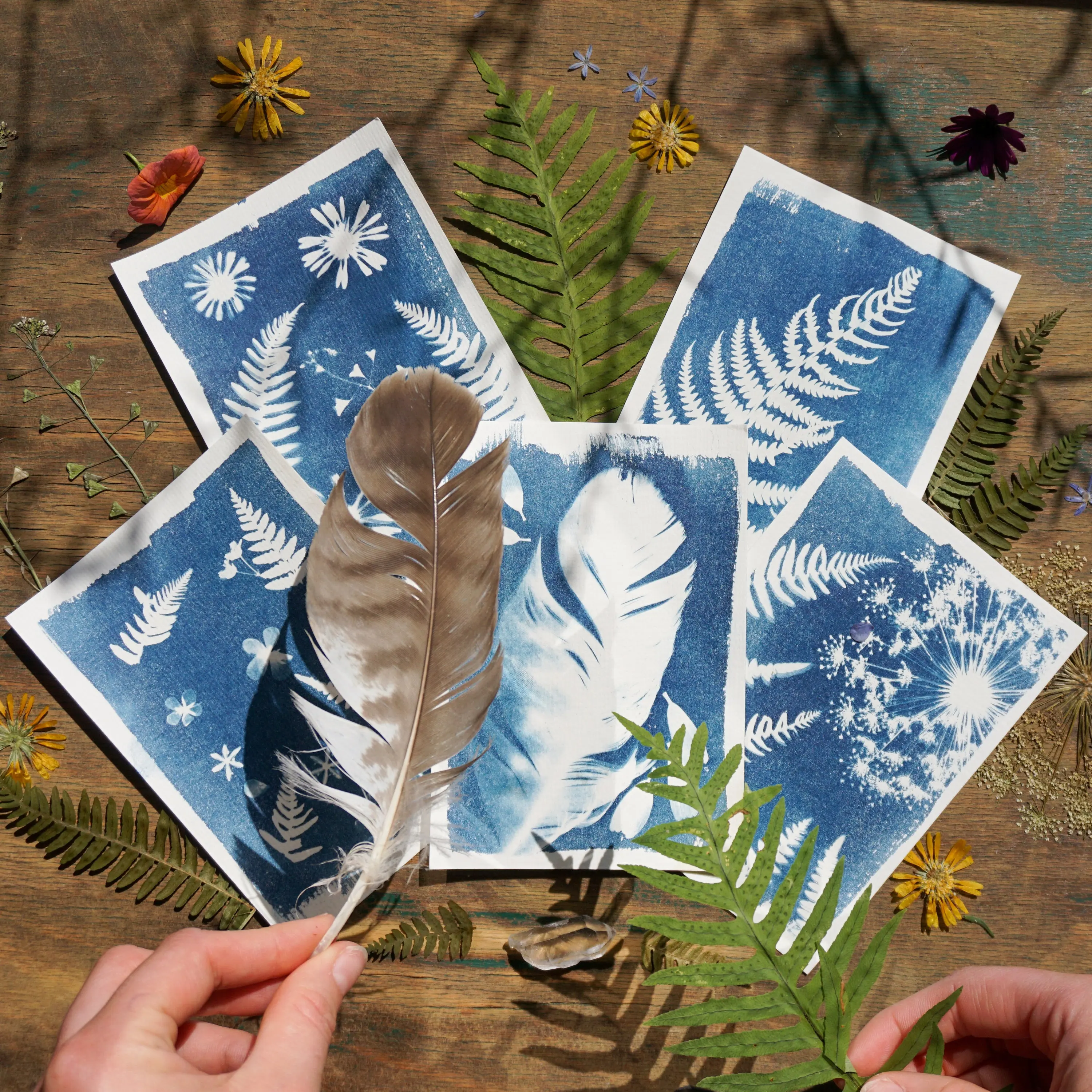 Sun Print Paper Cyanotype Paper Kit Solar Drawing Sensitivity Sun Print A5 Nature Printing Paper for Kids DIY Arts Crafts