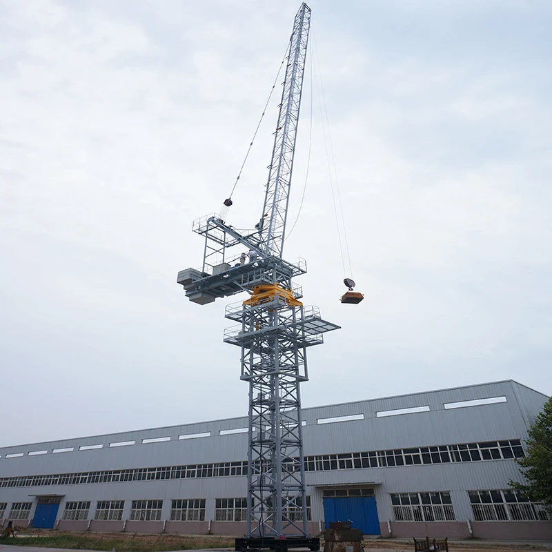 Sell well in South Korea Luffing Tower Cranes   SF-180 price