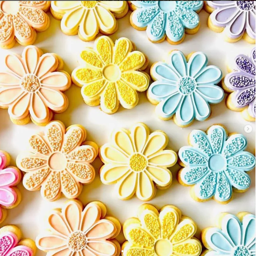 15g Food Coloring Food Powder Chocolate Powder