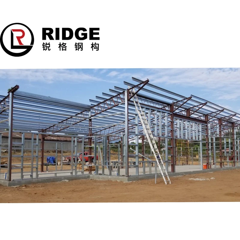 Дешевые сборные металлические мастерские сборные стальные конструкции куриные птичники, сельскохозяйственный ангарный склад для хранения зданий