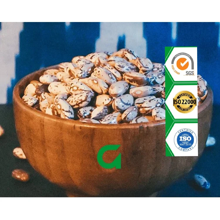 
Hot Sale Long Shape Organic Light Speckled Kidney Beans 