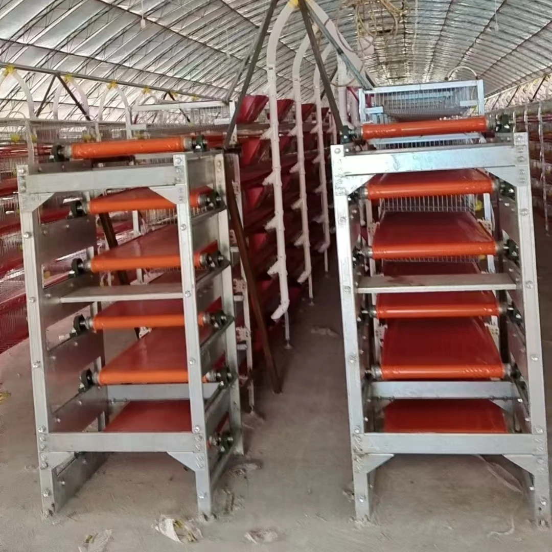 new design automatic feeding quail layer cage quail farm equipment for sale