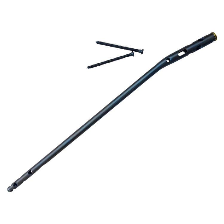 Elastic intramedullary nail   implant for safe stable fixation