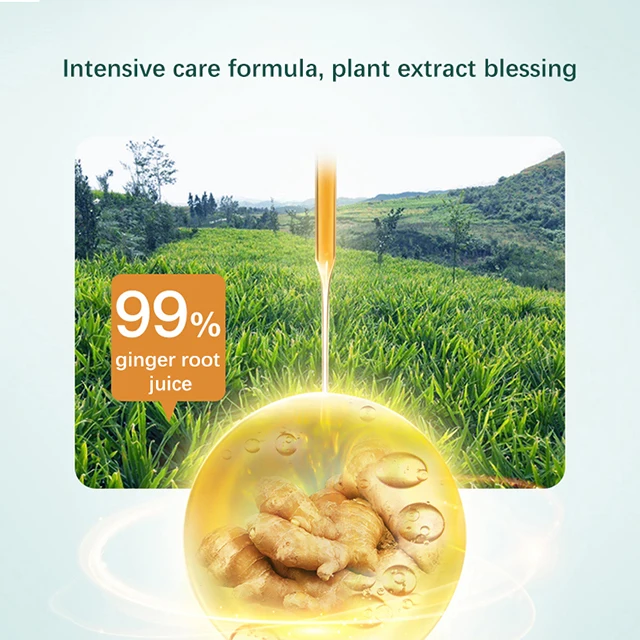 OEM Vegan Hair Care Treatment Products Hair Growth Organic Anti Hair Loss Ginger Shampoo And Conditioner