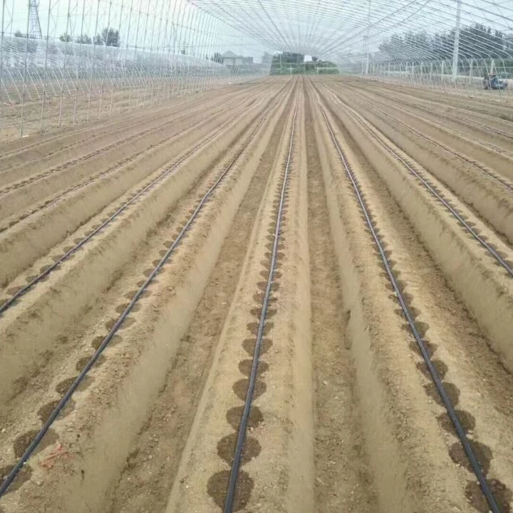 Easy Low price PE  Drip Pipe Irrigation For Greenhouse