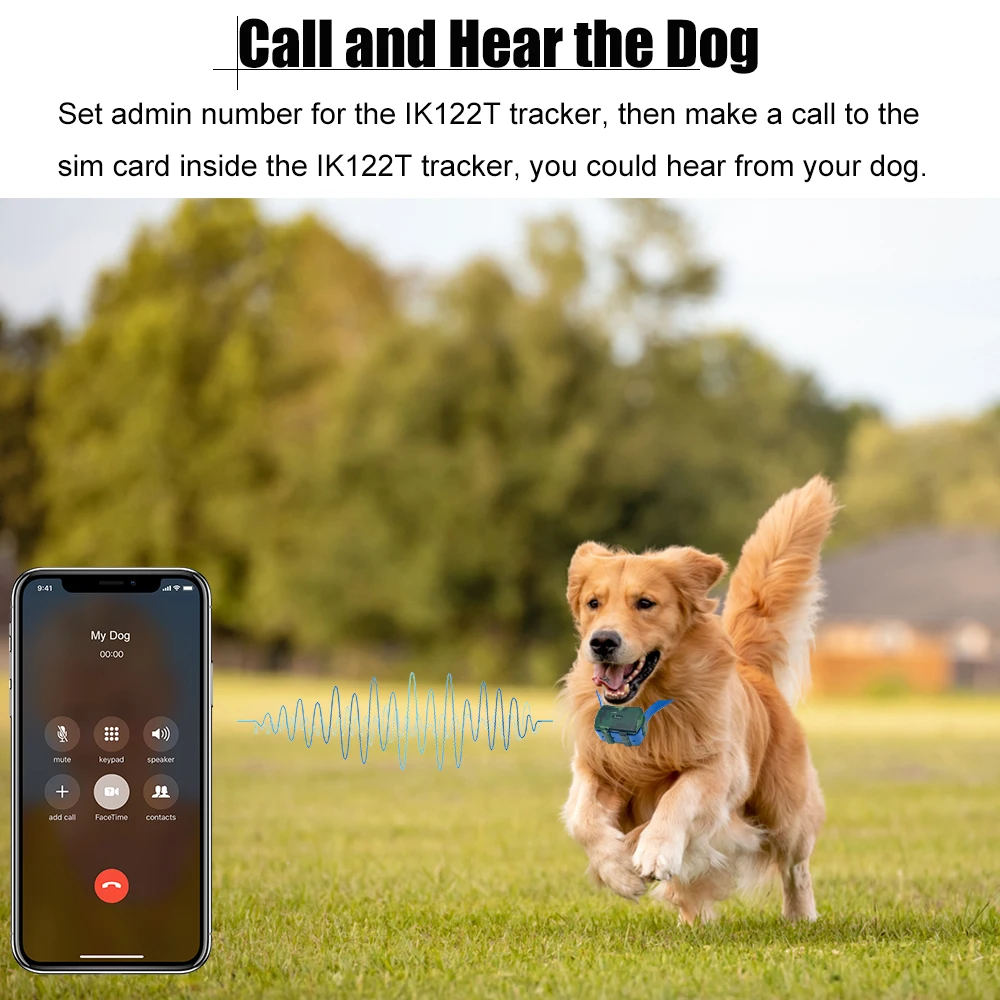 call your dog.jpg