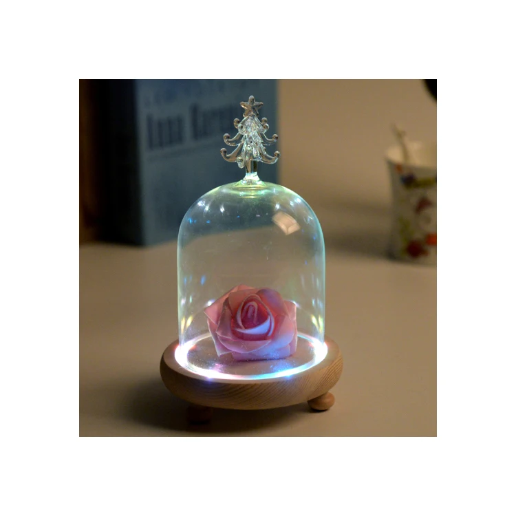 China factory good quality manufacturers christmas gift little prince rose preserved flower ornament love glass cover