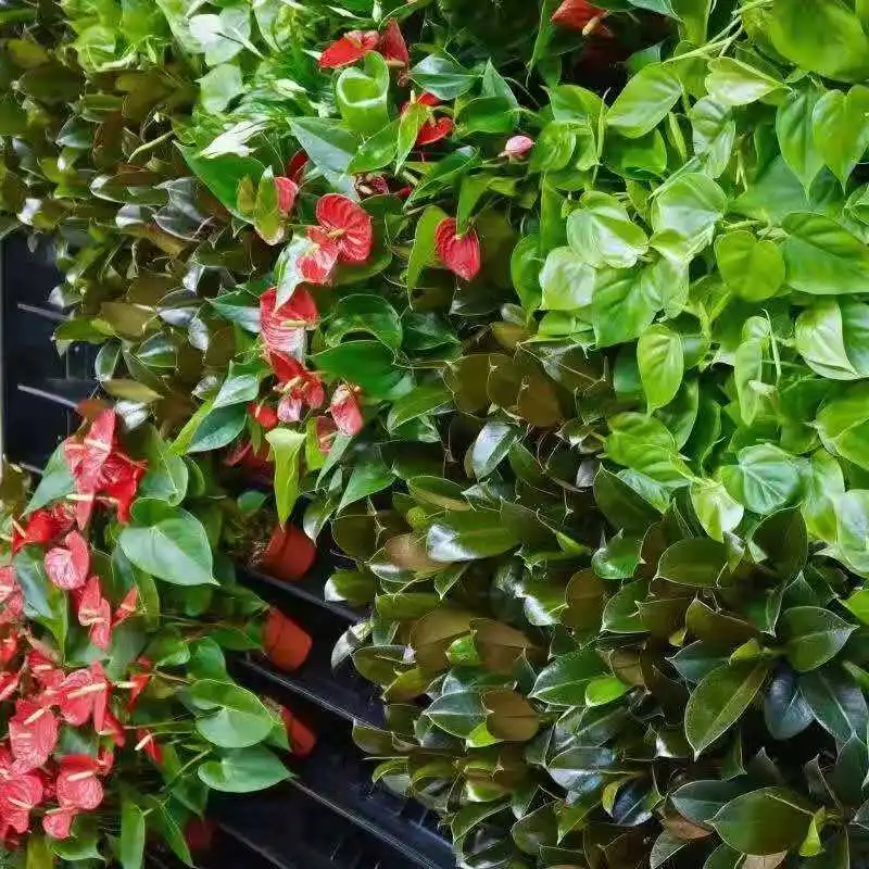 
2021 modern design living green wall for landscaping 