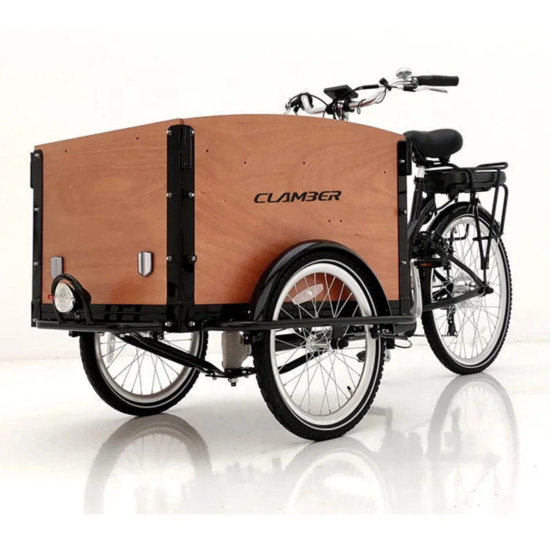 electric cargo bicycle with 250W bike used for family 3 wheel bike