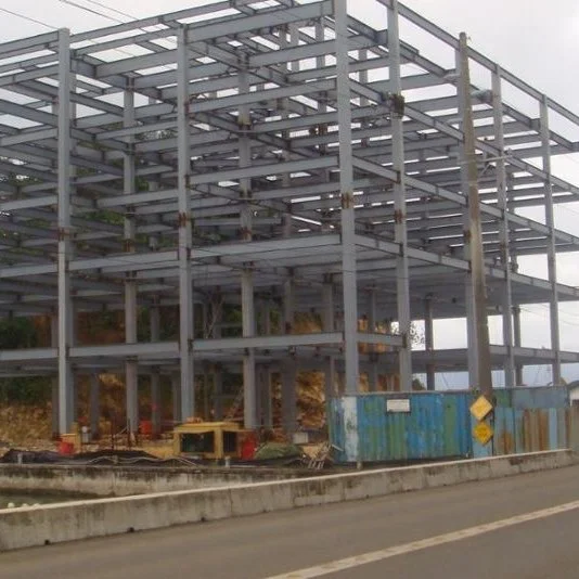 Duowei Steel Structure Building for  Workshop