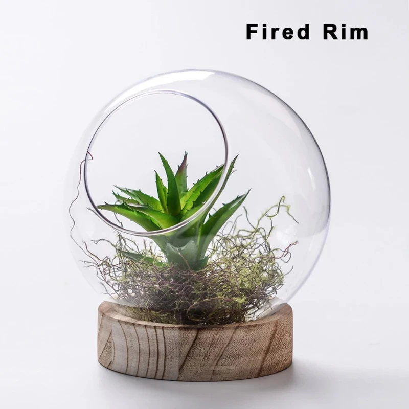 Выдувная стоящая круглая прозрачная стеклянная ваза для террариумов с отверстием и деревянным основанием