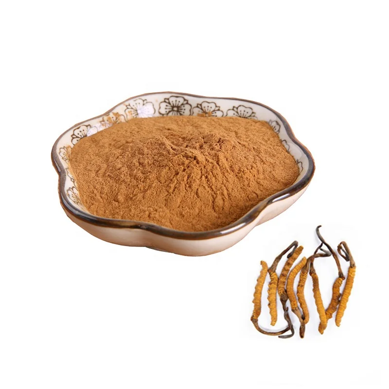 Высококачественный порошок экстракта мицелия Cordyceps Sinensis
