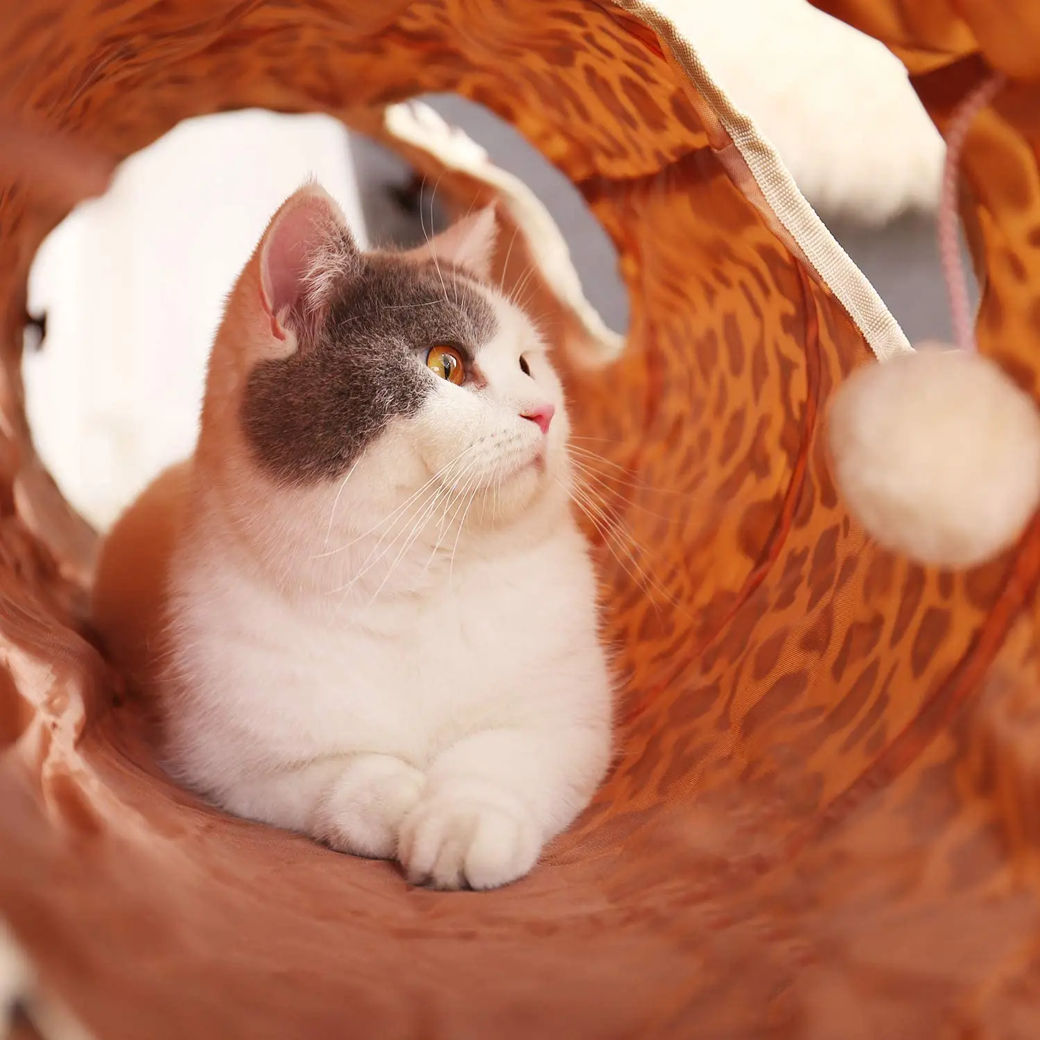 
collapsible cat tunnel cat tunnel foldable cat tube 