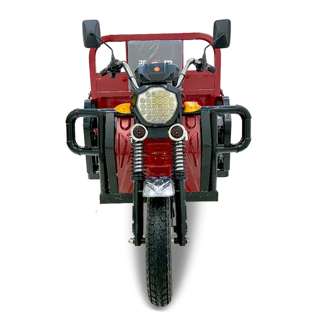 Baaskiil Closed Foton Electric Tricycle From China Manufacturer