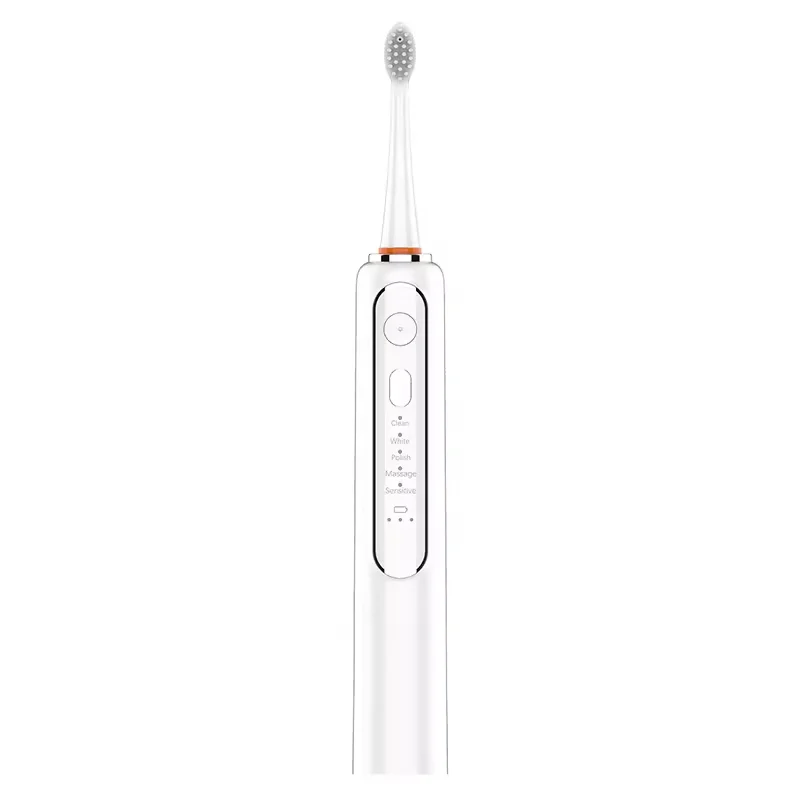 2024 New 3 in 1 China Rechargeable Dental Power Flosser Floss Pro USB Cable Oral Irrigator With 2pcs Electric Toothbrush Head