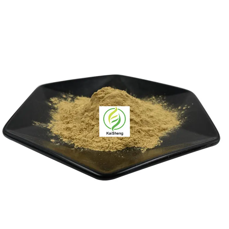 Wholesale Silybin High Quality Milk Thistle Extract 80% Silymarin Milk Thistle Extract Powder