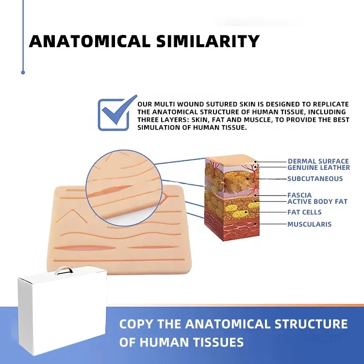 Wholesale high quality Premium High Quality Surgical Suture Practice Kit for Medical Students Suture Training with Suture Pad