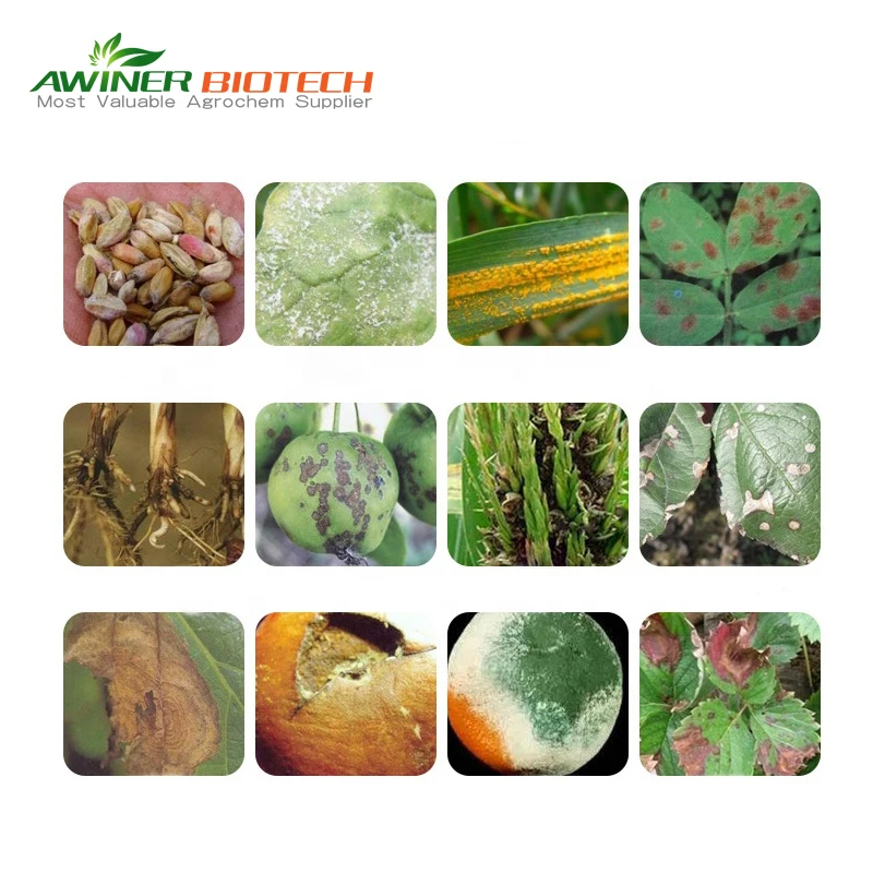 Лидер продаж фунгицид пироклобин 5% метирам 55% DF в основном используется для контроля