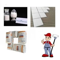 vinyl acetate and ethylene based co-polymer rdp powder