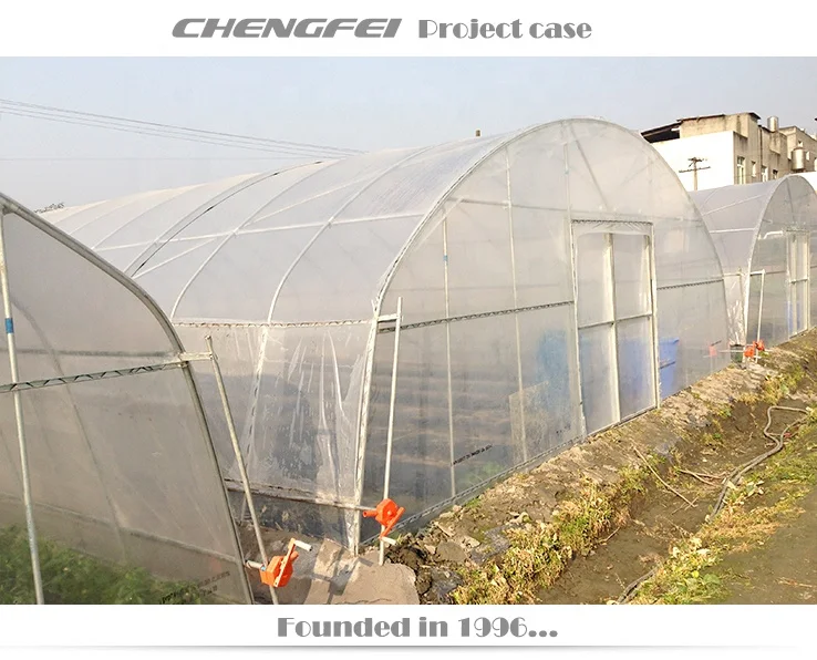 Commercial single span plastic film vegetable tomato strawberry flower price tunnel greenhouse for sale