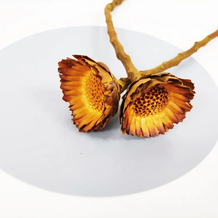 summer flora Factory direct sales Thorn flower single head thorn ball simulation flower dried flower gerbera