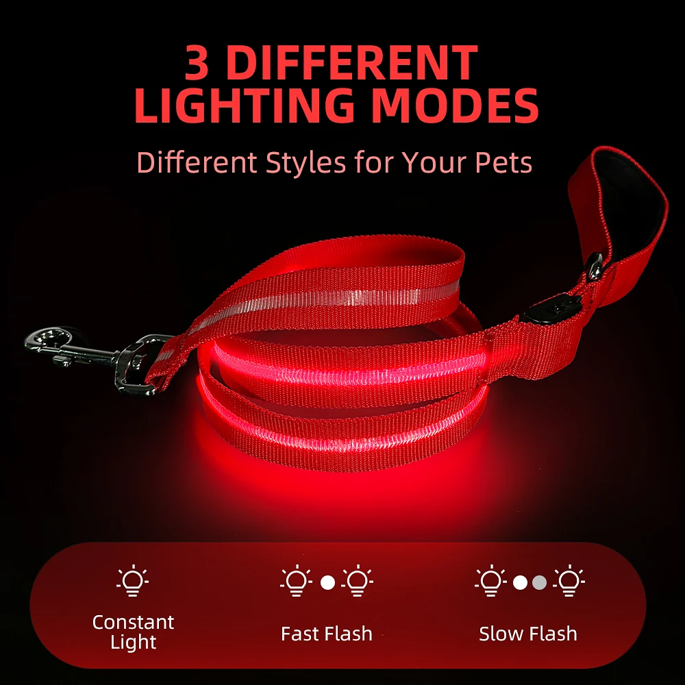 Pet Dog Night Walking Glow In The Dark Rope Leash Recharge Light Up Puppy Correa de perro Bright Flat LED Flashing Pet Leash