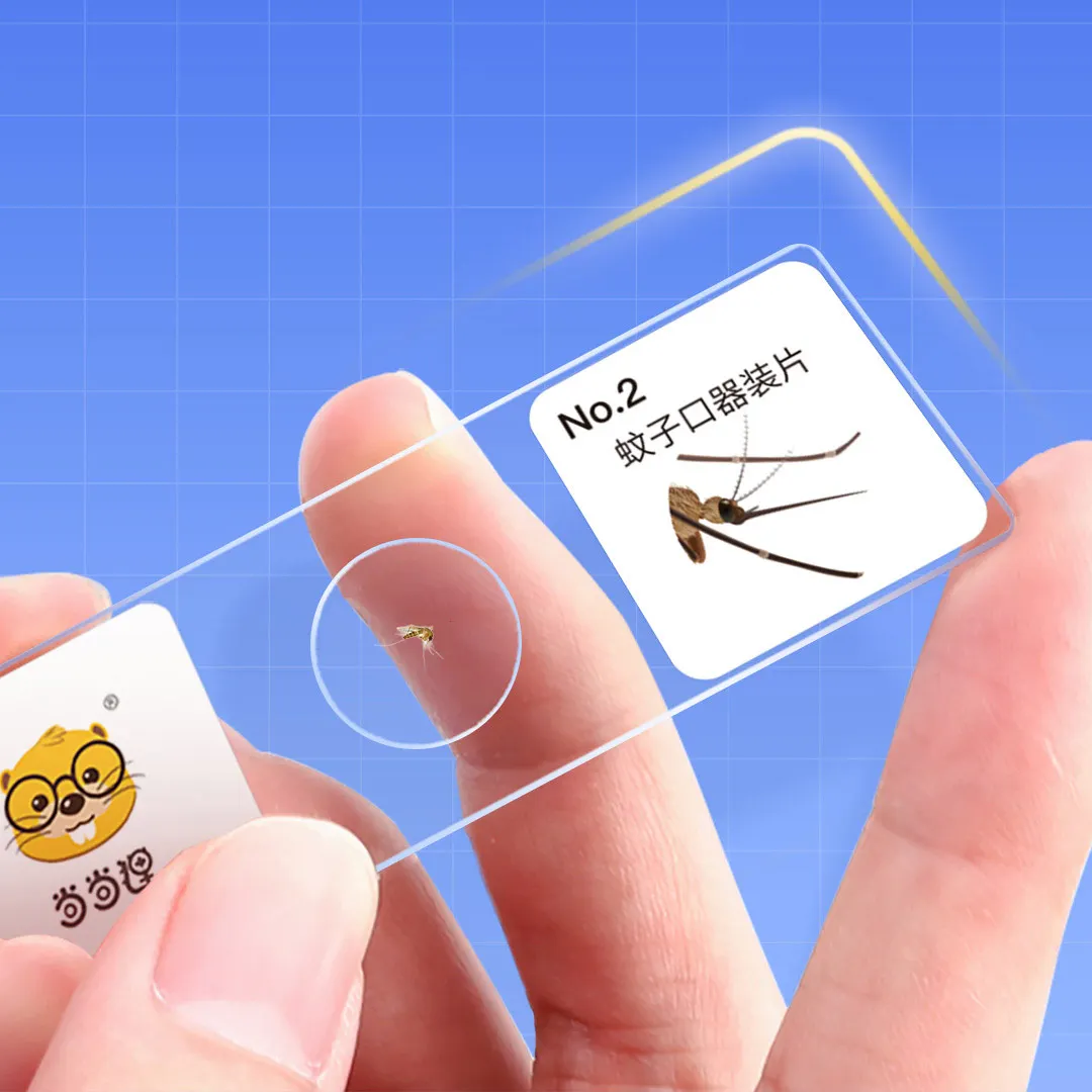 Manufacture Education Learning Microscope Glass Specimen Slides Bulk Kit for Kid Optical Digital Microscope