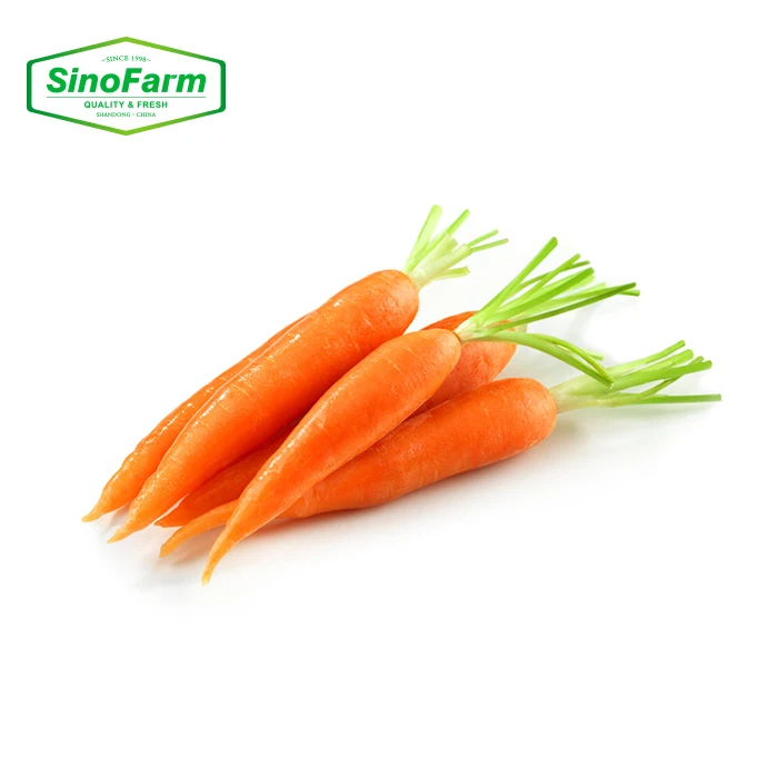 2021 new crop fresh vegetables Chinese baby carrot red carrots from China for sale