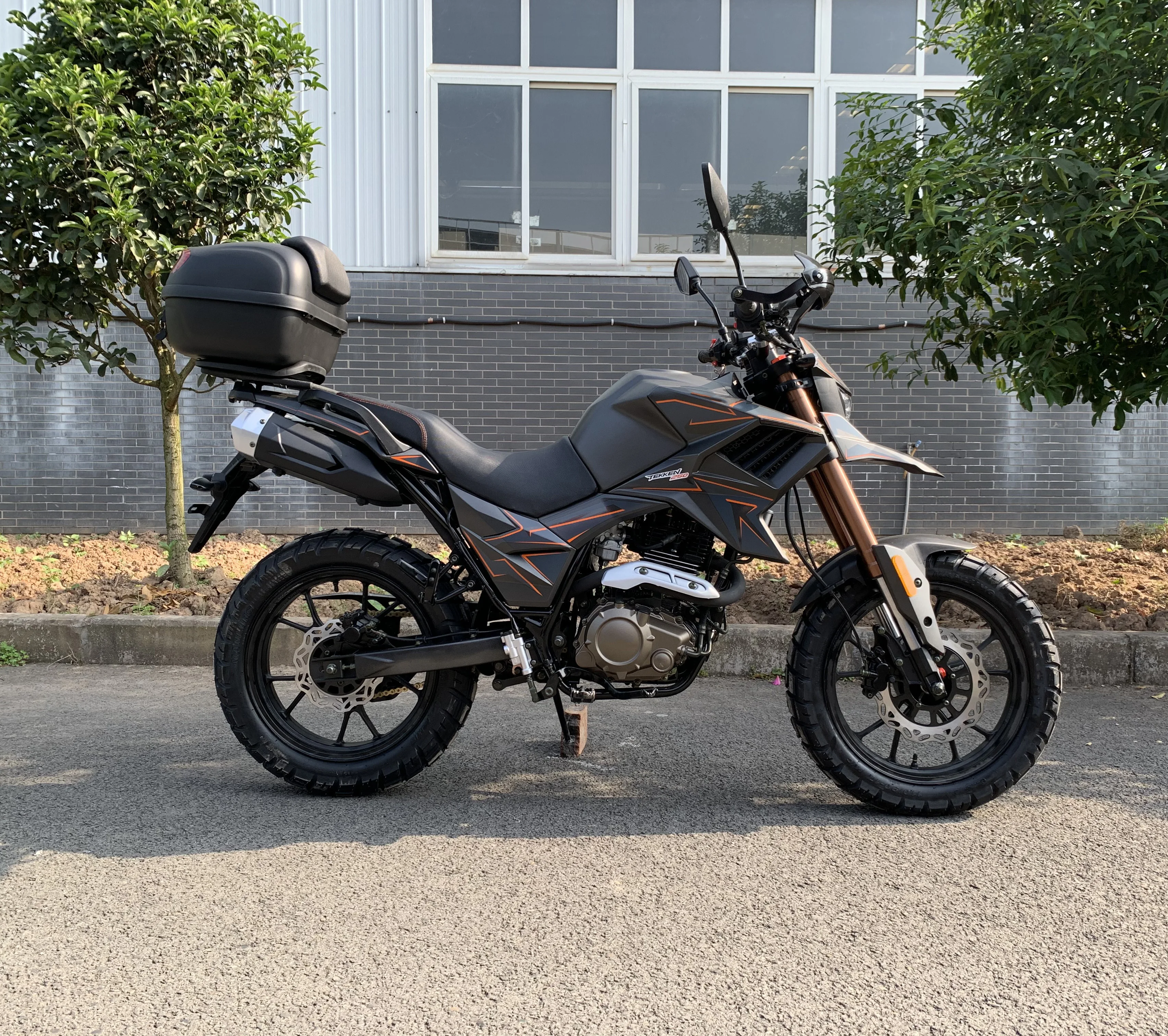 Китай мотоциклы FUEGO TEKKEN250 eec мотоцикл дешево на продажу 221101