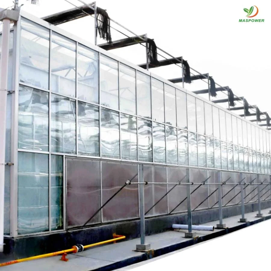 8 12 15 10mm polycarbonate greenhouse multi-span for sale ,tomato ,canabs, blueberry growing