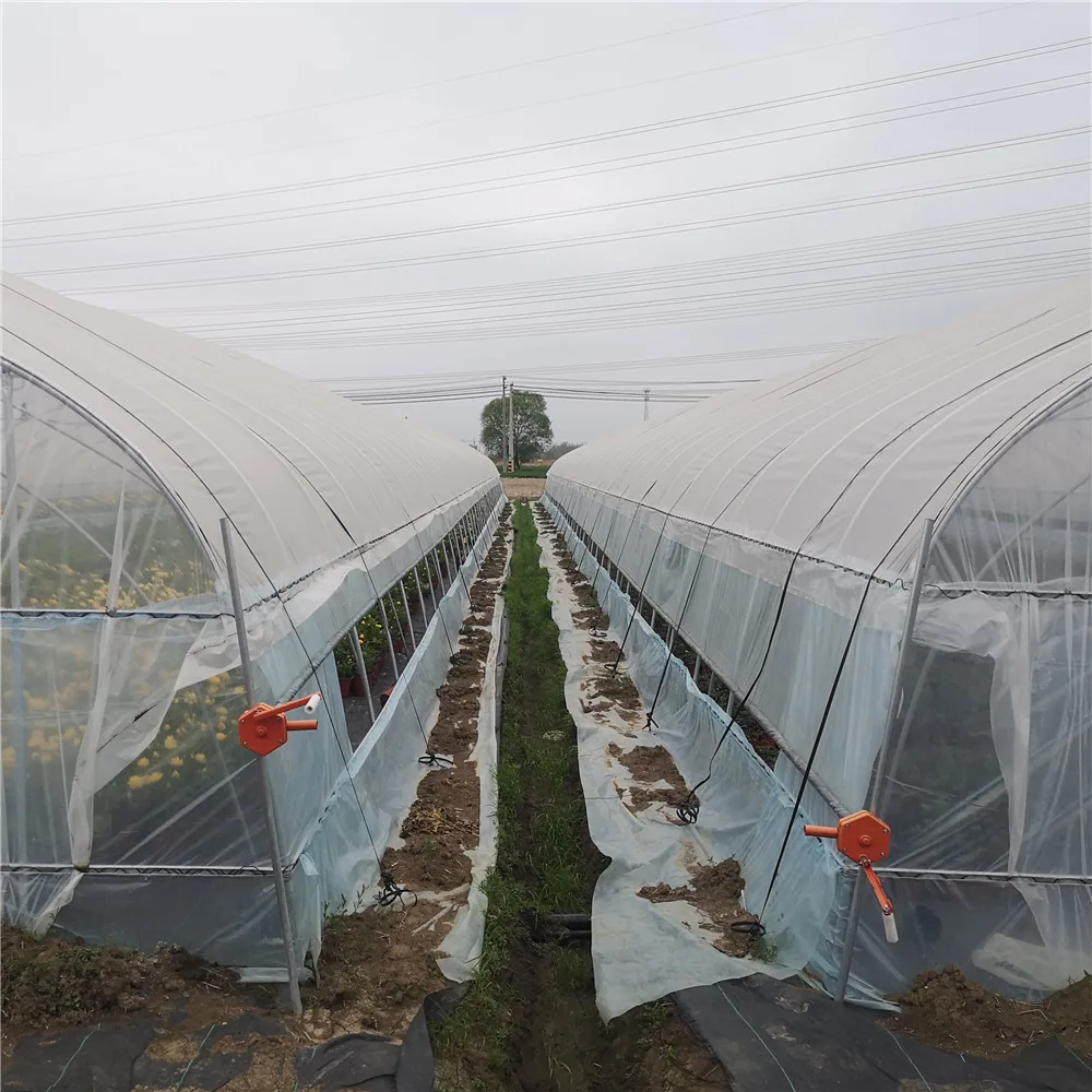 
Cheap single arch bridge agricultural vegetable and fruit greenhouse supplier 