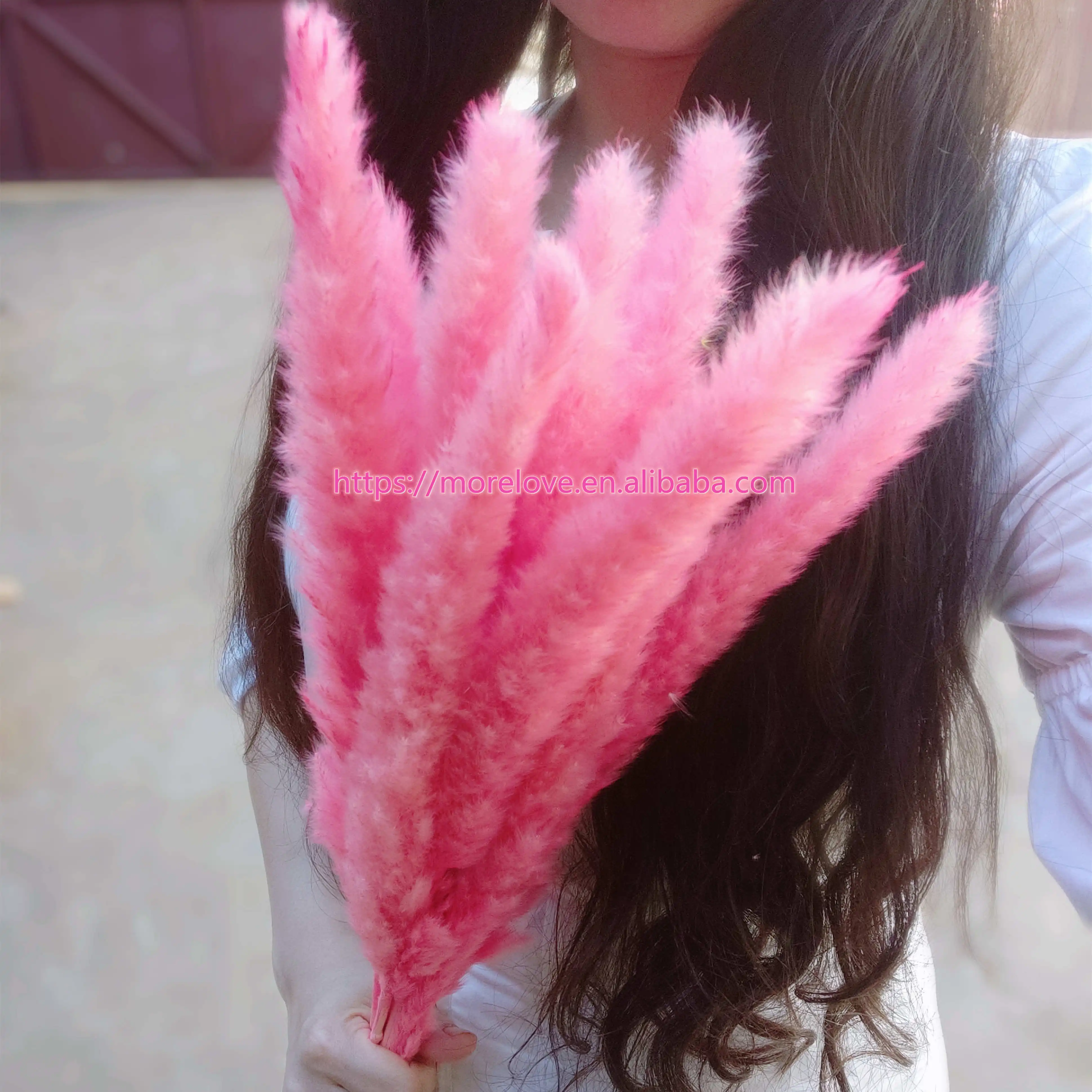 Wholesale Natural Dried Pampas Grass Decorative Flower Best Natural Real Dried Pampas Grass bouquet for wedding decor house deco