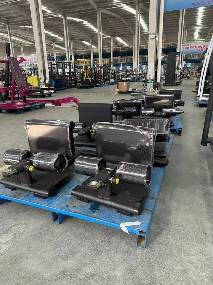 High Quality Fitness Equipment Plate Loaded Machines Gym Weights Gym Equipment Abdominal Trainer