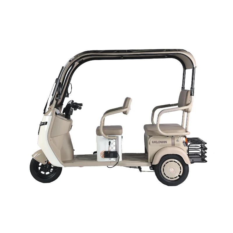 China Manufacturer Hot Selling Easy To Ride Adult Use Electric tricycle Three Wheels Electric Tricycle With Roof