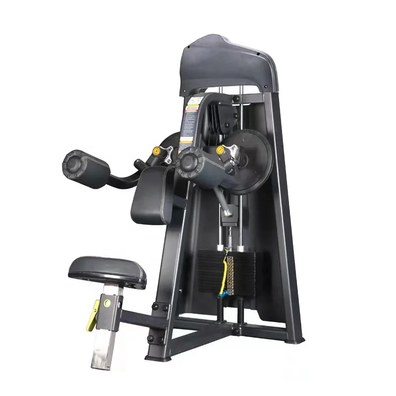 Commercial Gym Equipment Pin Loaded Abdominal Trainer Adjustable Back Extension Machine