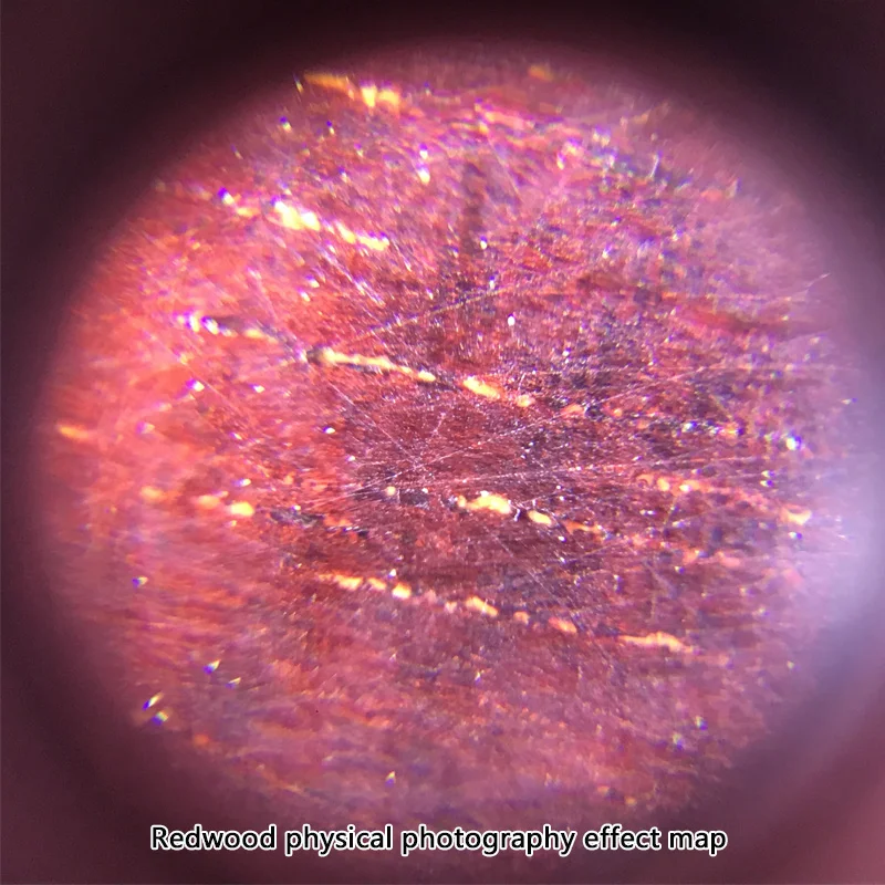 Portable Mini Pocket Magnifier 60x Microscope With UV LED Light