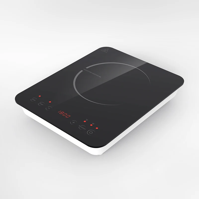 120V induction cooktop