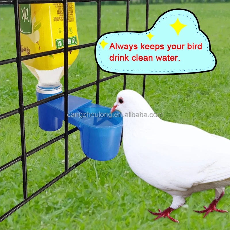 ZB LMB-10 bird drinker pigeon accessories Automatic Plastic Pigeon Water Drinkers for Bottle