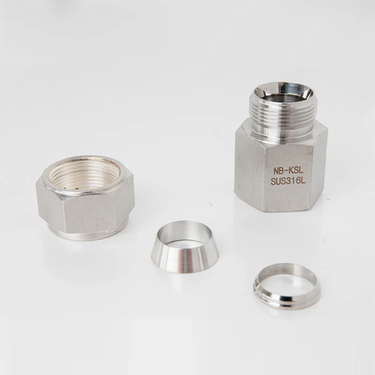
Compression Instrument Fittings 6000psi Swagelok Tube Fitting Female Connector Npt Ferrule 