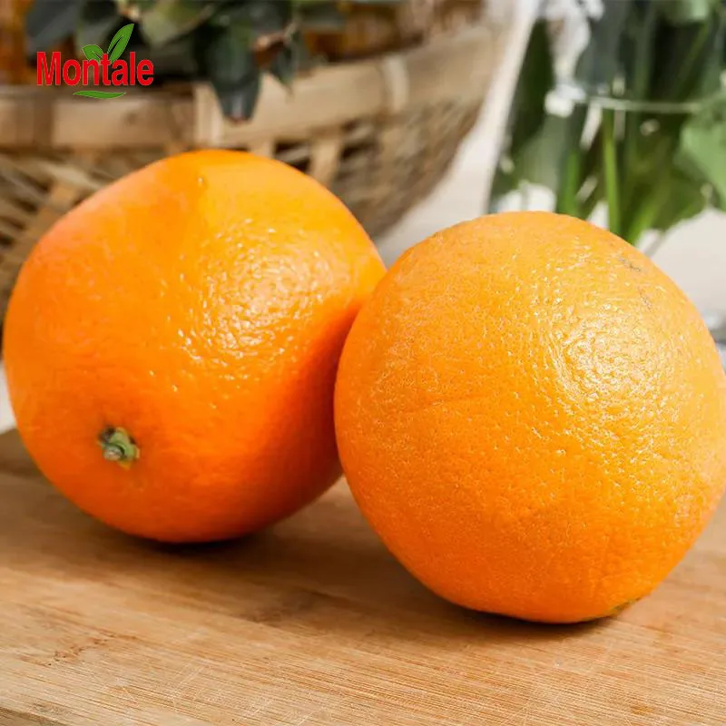 2022 newest Wholesale best newhall orange new market fresh mandarin oranges