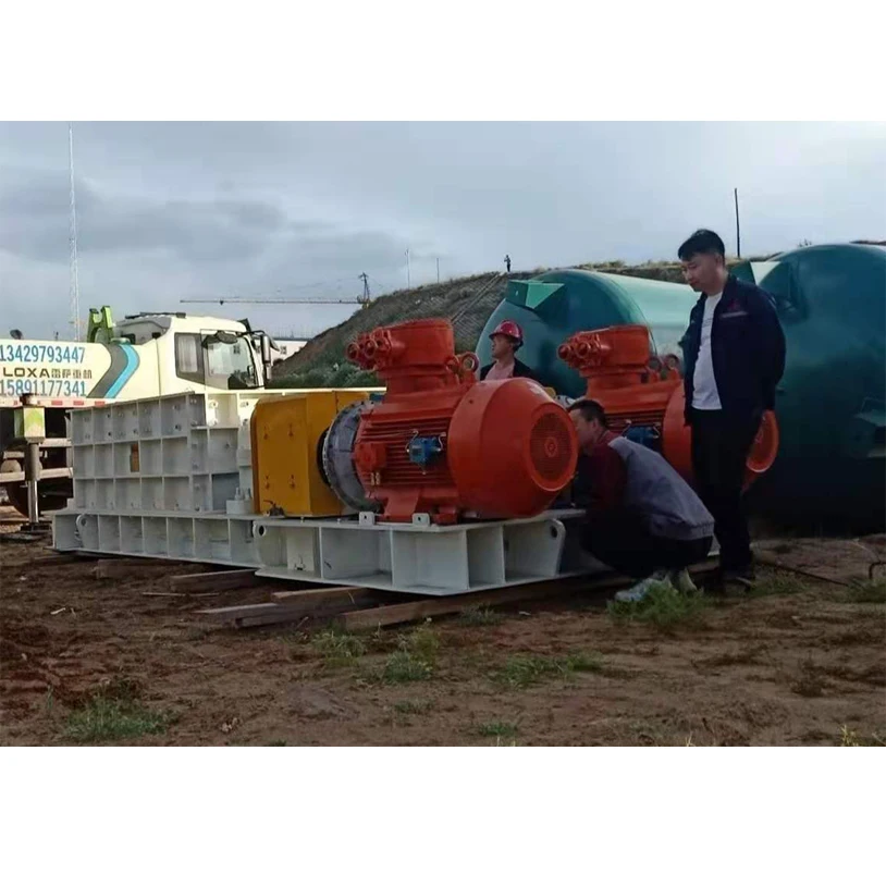 High capacity twin shaft coal mineral sizer coal crusher machine